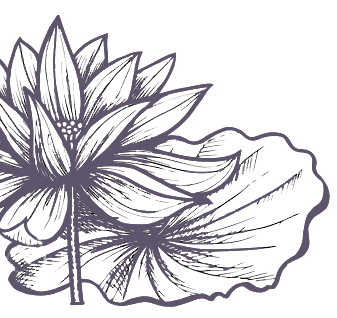 lily image